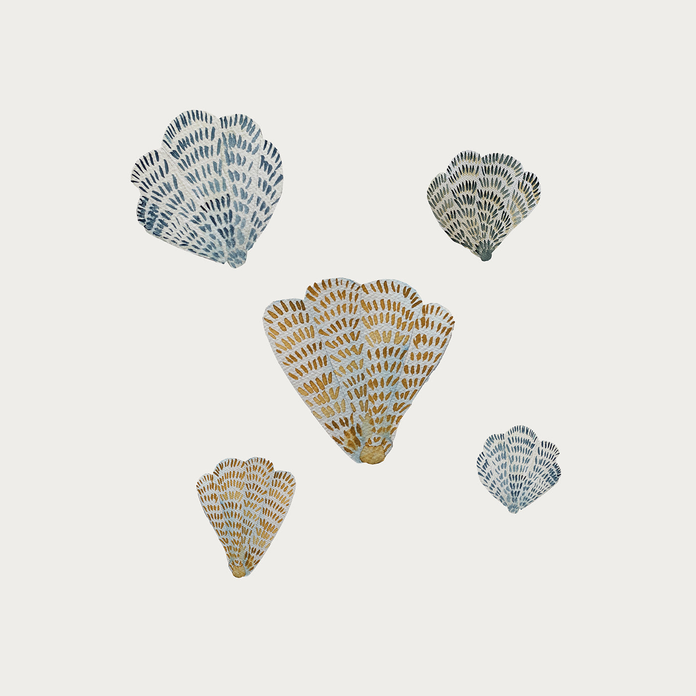 Seashells - Colored