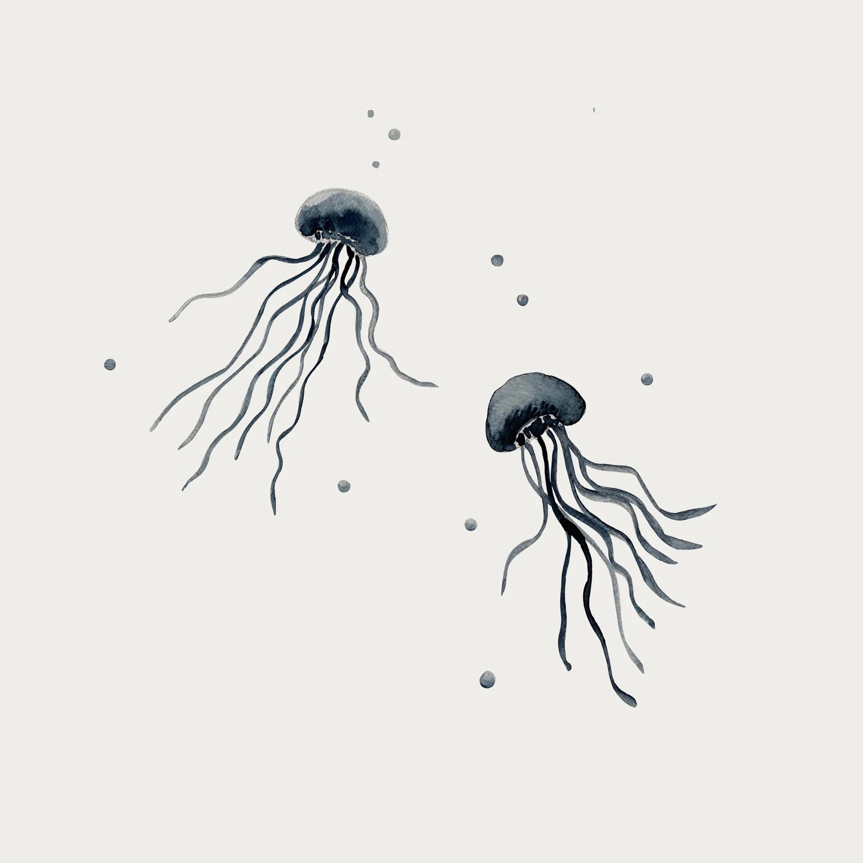 Jellyfish With Bubbles jellyfish-with-bubbles