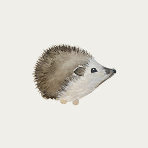 Hedgehog 1